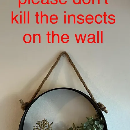 Makenzie 2 First Line Ostello Larnaca