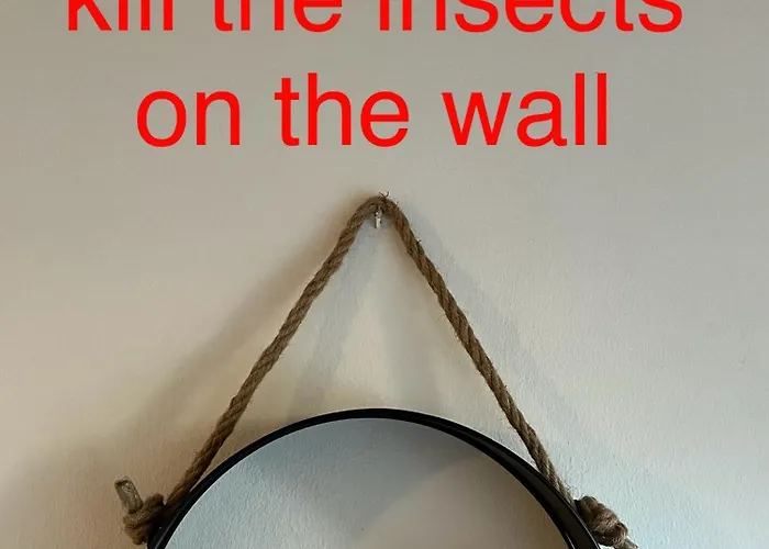 Makenzie 2 First Line Albergue Larnaca