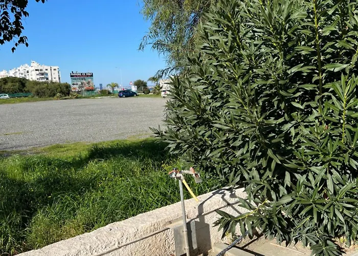 Makenzie 2 First Line *